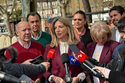 La portavoz del PP en el Senado, Alicia García