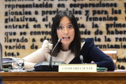La directora general de la Guardia Civil, Mercedes González Fernández, comparece ante la Comisión de Interior en el Senado.