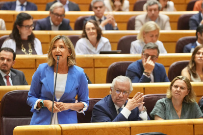 La portavoz popular en el Senado, Alicia García