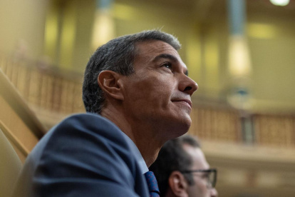 Pedro Sánchez, en el Congreso de los Diputados