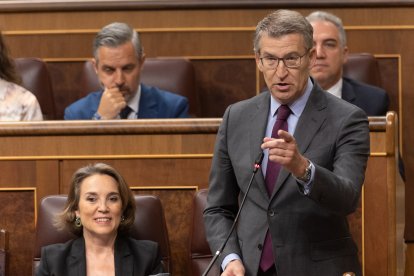 El presidente del PP, Alberto Núñez Feijóo, señala a Pedro Sánchez durante una de sus intervenciones en el Congreso.