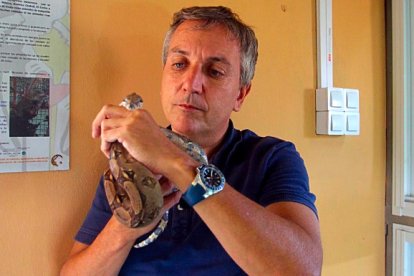 El presidente de la Fundación y del Arca de Noé, Raúl Mérida, sostiene una serpiente.                                                                    FOTO: JESÚS SUÁREZ