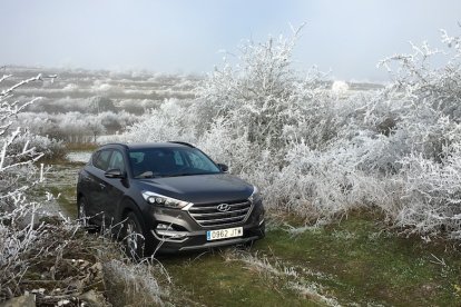 Hyundai Tucson, un paso de gigante