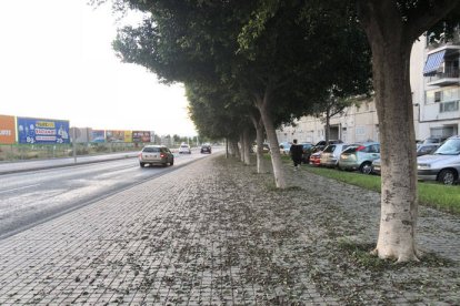 Falta de limpieza en las aceras de Elche.