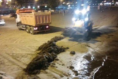 Operarios de playas estuvieron toda la noche acondicionando El Postiguet y la Albufereta.