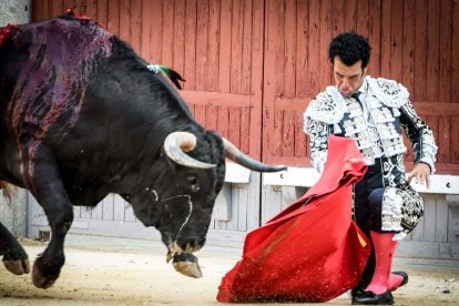 Morenito de Aranda sin lote