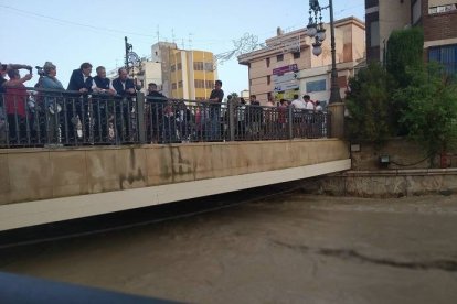 Puig observa la crecida del Segura en Orihuela.