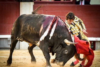 Castella, doblado por bajo