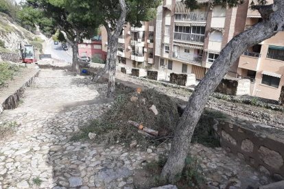 Alicante tala indiscriminadamente árboles en uno de los pulmones de la ciudad