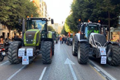 El sector agrario valenciano se manifiesta en Valencia