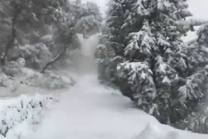 Nieve en la Font Rotja de Alcoy