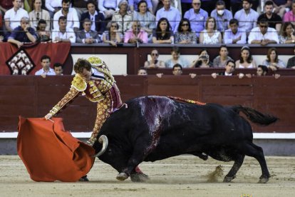 San Isidro 21ª. Román da todo lo que tiene, corta una oreja y es herido