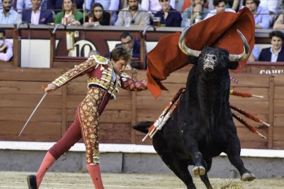 San Isidro 21ª. Román da todo lo que tiene, corta una oreja y es herido