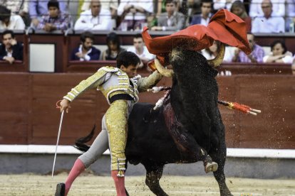 San Isidro 21ª. Román da todo lo que tiene, corta una oreja y es herido