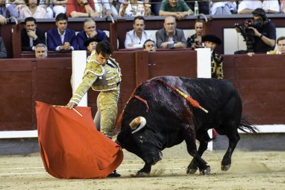 San Isidro 21ª. Román da todo lo que tiene, corta una oreja y es herido