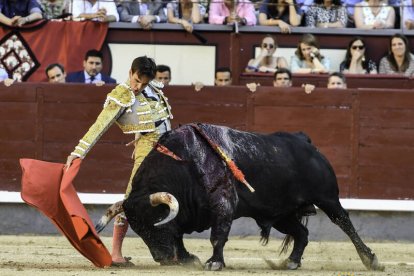 San Isidro 21ª. Román da todo lo que tiene, corta una oreja y es herido