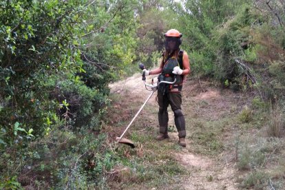 Trabajos de mantenimiento del cami del Reg Mil·lenari - Ajuntament de Torrent