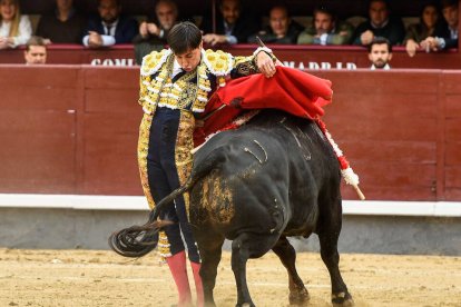 Bernardina de riesgo y ceñida de Espada