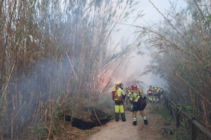 Incendio de Ribarroja / Bomberos Forestales de la Generalitat