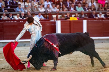 Derechazo de Pulido