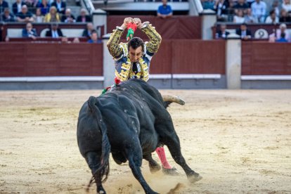 2ª San Isidro. Toros encastados de Fuente Ymbro, triunfo de Román y mucho mérito