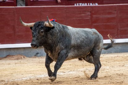 23ª San Isidro. Victorinos muy exigentes para lidiadores de antaño