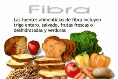 Alimentos ricos en fibra