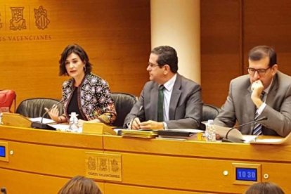 La "caja b" del PP y los millones "ficticios" de Montón en Sanidad