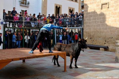 El PP quiere que la directora de À Punt explique en las Cortes sus reticencias para emitir  festejos taurinos