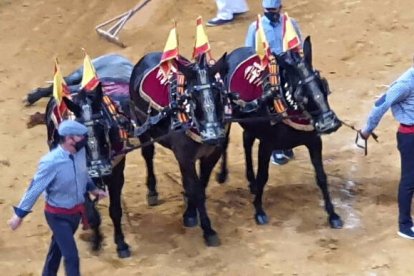 11ª San Isidro. Los Adolfo la casta, los toreros el mérito. Y juntos, la emoción