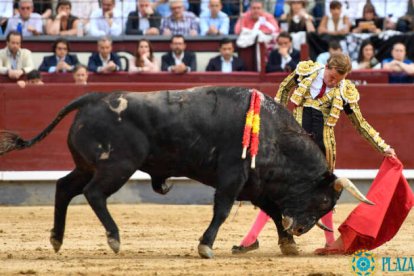 San Isidro 11ª. Pedraza de Yeltes, todo un concierto para el aburrimiento