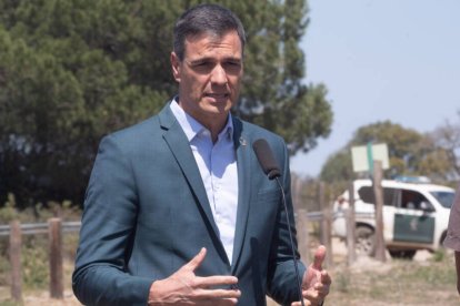 El presidente del Gobierno Pedro Sánchez en el Parque Nacional de Doñana (Huelva).