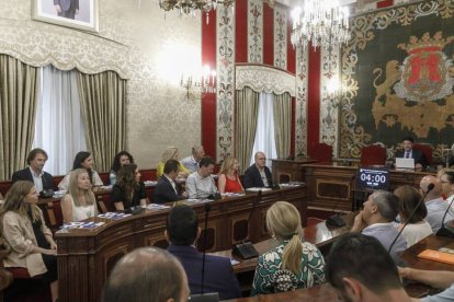 Pleno del Ayuntamiento de Alicante. Imagen de archivo.