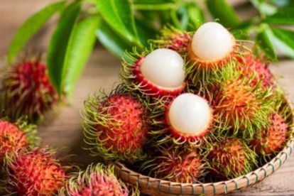 Rambután o fruta peluda