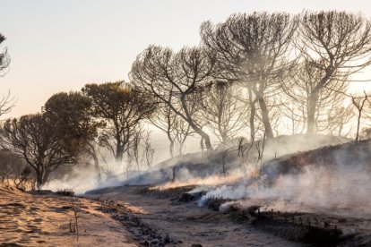 La llamada Cuesta Maneli calcinada tras el incendio junto a Doñana