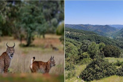 Parque Natural Sierra de Andújar en Jaén