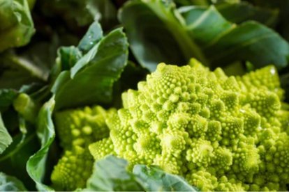 Propiedades del romanesco