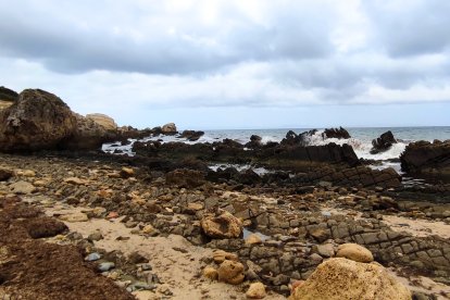 Las piscinas de Bolonia sin arena y con algas.