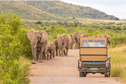 Parque Nacional Pilanesberg en Sudáfrica