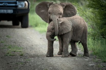 Parque Pilanesberg