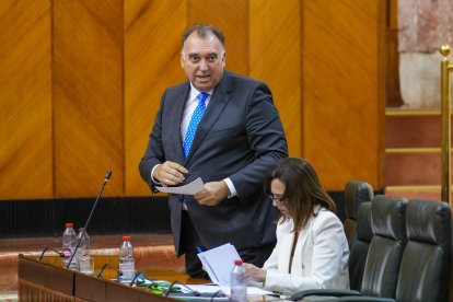 El consejero de Turismo de la Junta, Arturo Bernal, durante el pleno del Parlamento.