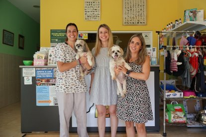 Arranca la campaña de vacunación canina