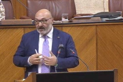 El diputado de Vox en el Parlamento de Andalucía Alejandro Hernández.