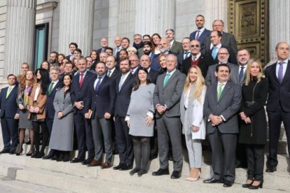 Todos los diputados de Vox. Abajo a la derecha, la ceutí Teresa López.