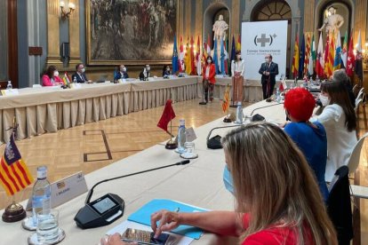 El Consejo Interterritorial celebrado este miércoles en el Senado.