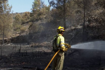 Un bombero del consorcio provincial de Castellón refresca la zona afectada en Azuébar.