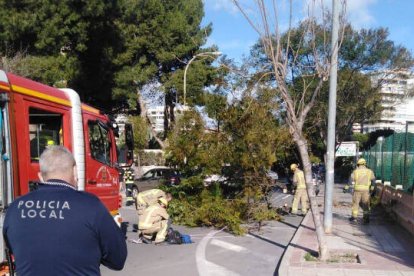 Las fuertes rachas de viento han provocado 15 intervenciones de los bomberos y Policía Local