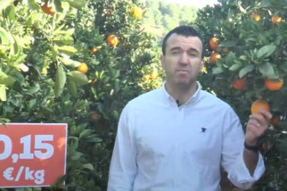 Vicent Mompó denunciando la situación de la naranja valenciana