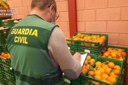 El plaguicida empleado está prohubido en la Unión Europea para usarlo en la industria alimentaria