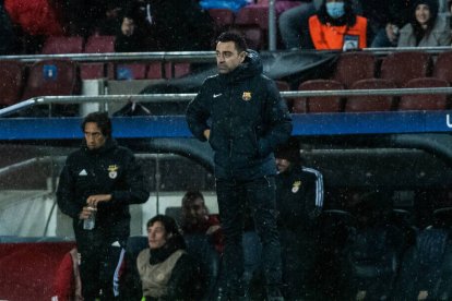 Xavi Hernández, en el banquillo del Nou Camp, durante el partido de Champions ante el Benfica.